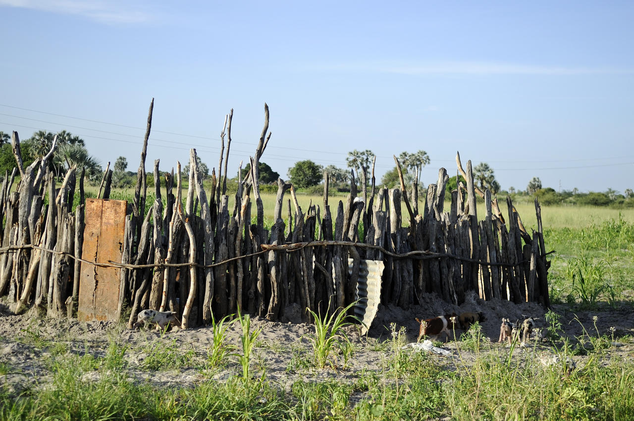 Ongula Village Homestead Lodge Omupumba 외부 사진
